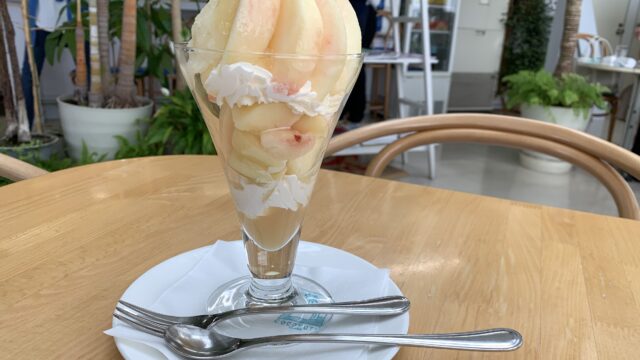 富山おすすめパフェ フルーツ盛りだくさんの絶品パフェ ココナッツアイランド りっちーの人生謳歌ブログ
